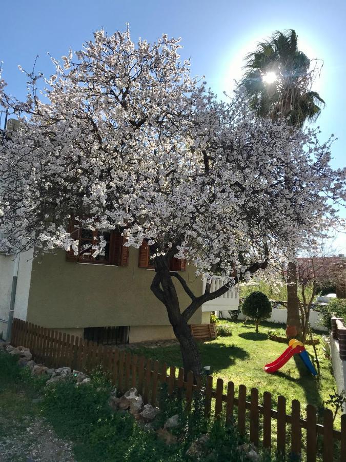 Nicolas Beach Palaiochora Dış mekan fotoğraf